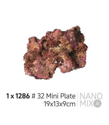 EcoReef Rock Mini Plate 32 19x13x9cm | TMC