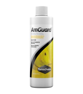 Amguard | Seachem