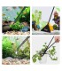 Set Herramientas Aquascaping Inox | Hygger