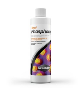 Reef Phosphorus 250ml | Seachem