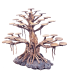 Bonsai Rasamala | Por Pieza | Riverest