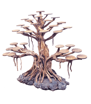 Bonsai Rasamala | Por Pieza | Riverest