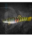 Botia Sumo Schistura 4-5cm | Schistura balteata