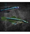 Gobio Semoni Azul Cobalto 4-5cm | Stiphodon semoni