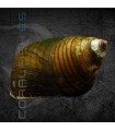 Caracol Pagoda | Filopaludina martensi