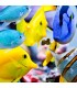 Easy Masstick 50g | Easy Reefs