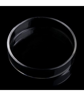 Plato de Cristal para Alimento de Gambas