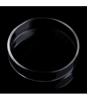Plato de Cristal para Alimento de Gambas