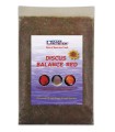 Papilla Discus Balance Red 454 g Placa Congelada | Ocean Nutrition