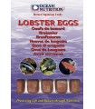 Huevos de Langosta Congelados 100 g | Ocean Nutrition