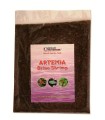 Artemia Placa Congelada 113 g | Ocean Nutrition