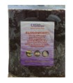 Larva Roja de Mosquito 454 g Placa Congelada | Ocean Nutrition