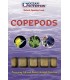 Copépodos Congelados 100 g | Ocean Nutrition