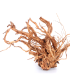 Twist Root