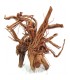 Twist Root