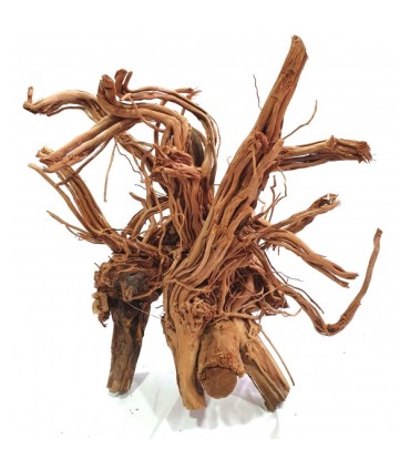 Twist Root