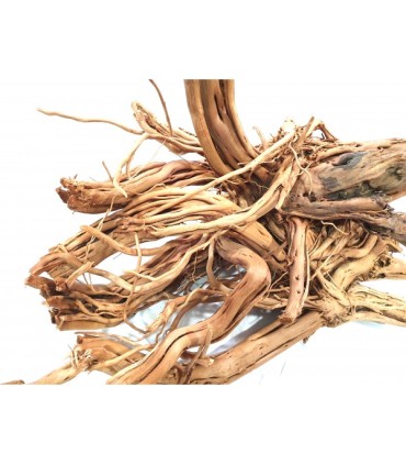Twist Root