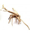 Spider Gold Wood M | Por Pieza | Riverest