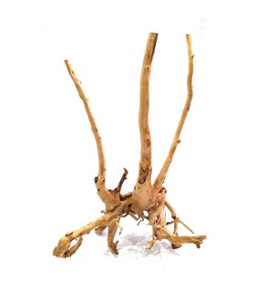 Rain Forest Wood | Pieza | Riverest