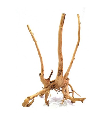 Rain Forest Wood | Pieza | Riverest