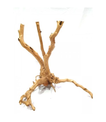 Rain Forest Wood | Pieza | Riverest