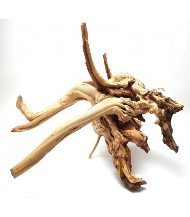 Spider Gold Wood M | Por Pieza | Riverest