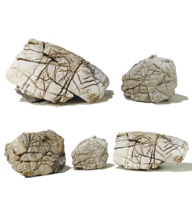 Roca Elephant Skin | Por Peso | Riverest
