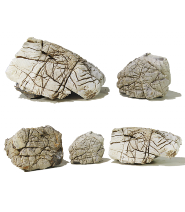 Roca Elephant Skin | Por Peso | Riverest