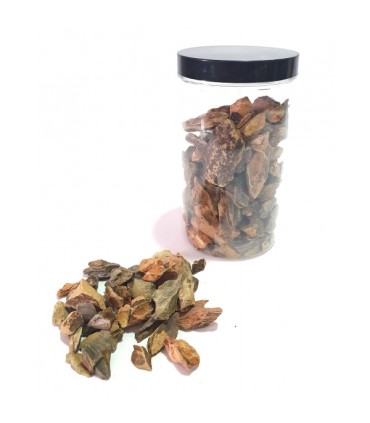 Roca Dragón Detalle Aquascaping 500ml
