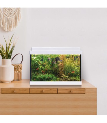 Kit Acuario AquaLed 20 ICA