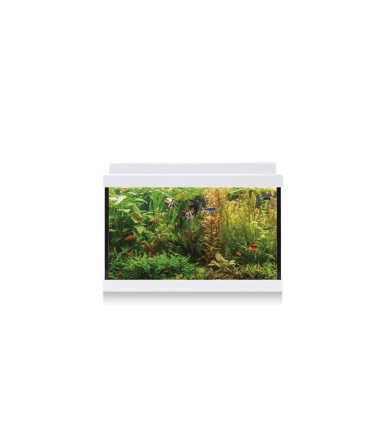 Kit Acuario AquaLed 20 ICA