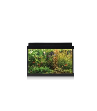 Kit Acuario AquaLed 20 ICA