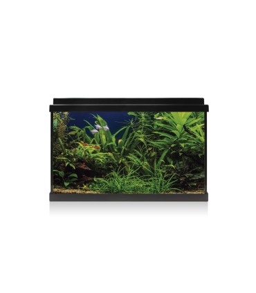 Kit Acuario AquaLed 64 ICA