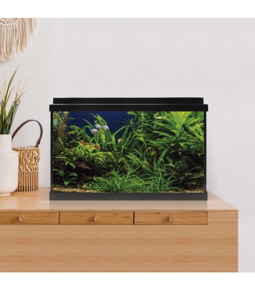 Kit Acuario AquaLed 64 ICA