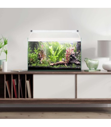 Kit Aqua Light Glass ICA