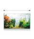 Kit Aqua Light Glass ICA