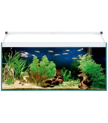 Kit Aqua Light Glass ICA