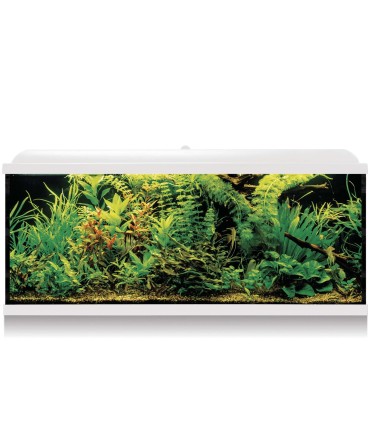 Kit AquaLED PRO 240 con filtro exterior (240 L)