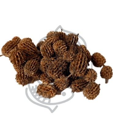 Piña Casuarina 50g