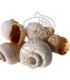 Caracol Pila Globosa 5 und.