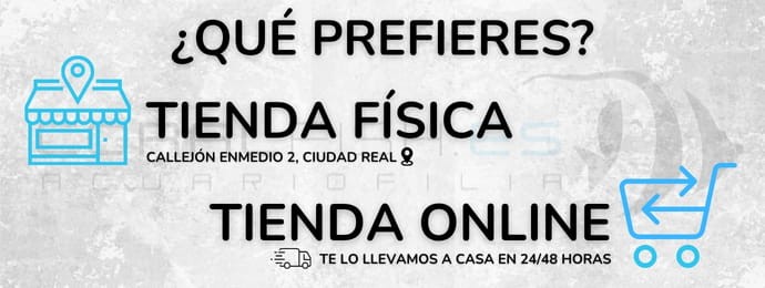 Tienda Física